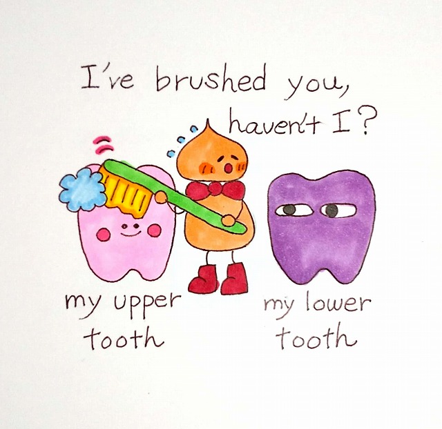下の歯、磨いたよね？