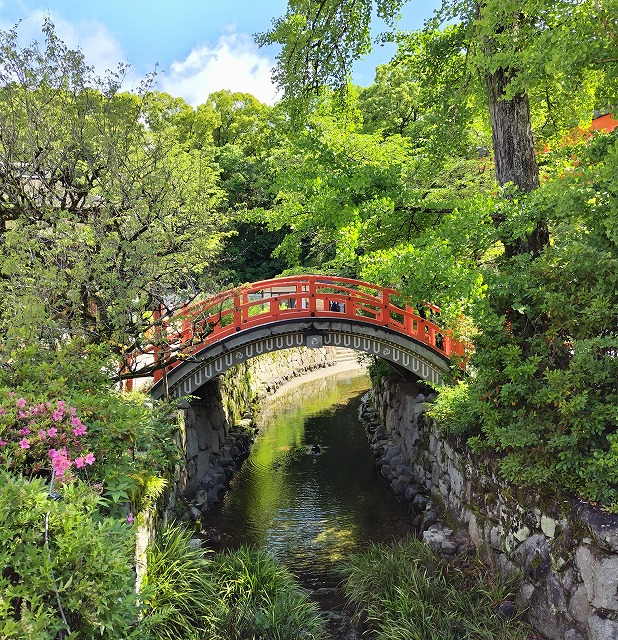 京都旅行　下鴨神社